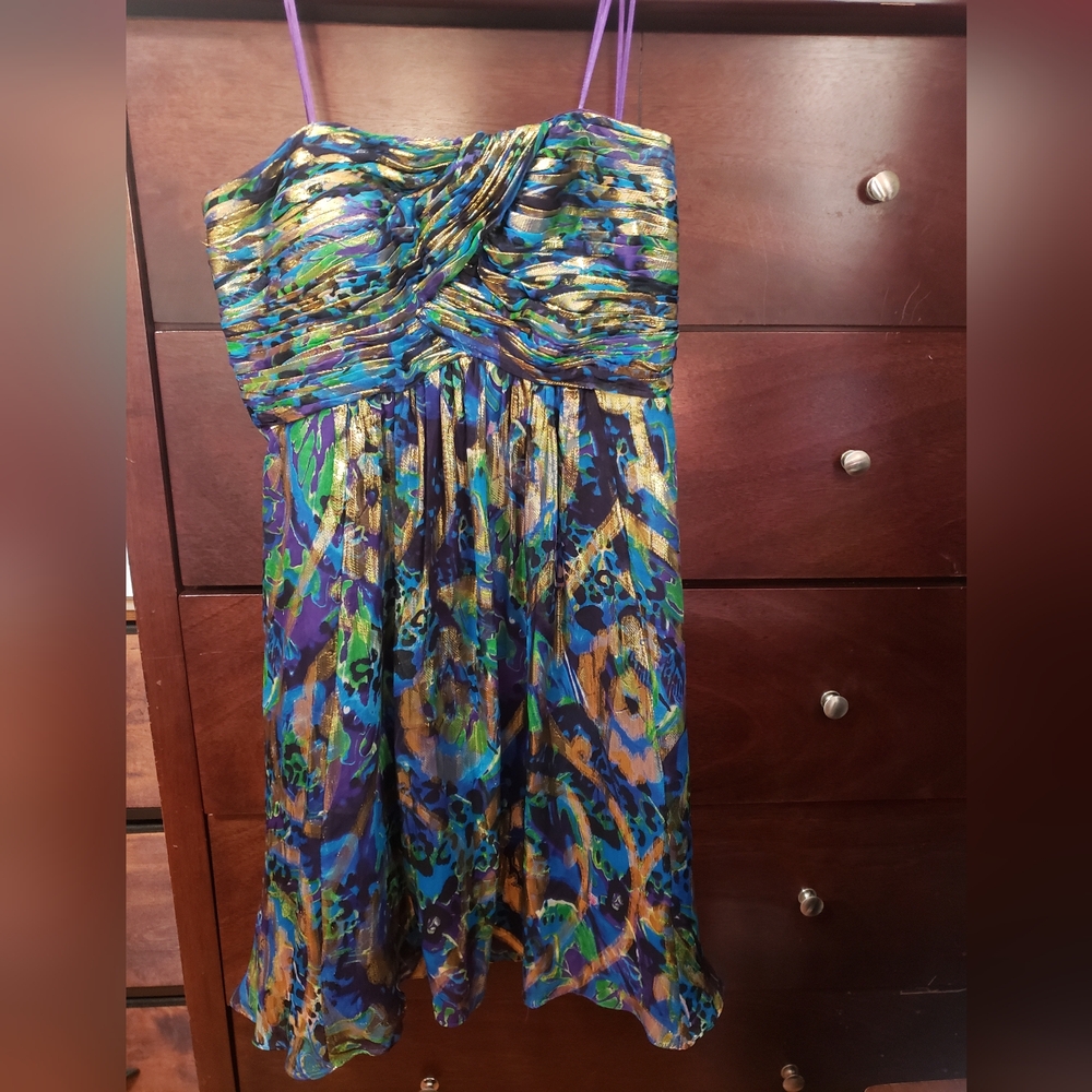 Size of dress: 10 Dress brand: Oleg Cassini Color(s): Gold, Blue, Purple, Black